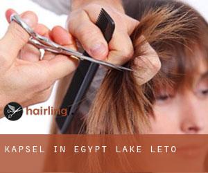 Kapsel in Egypt Lake-Leto