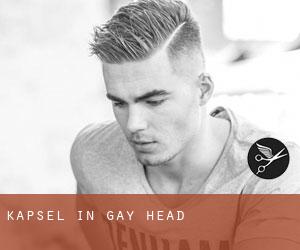 Kapsel in Gay Head