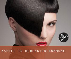 Kapsel in Hedensted Kommune Kapsel in Hedensted Kommune