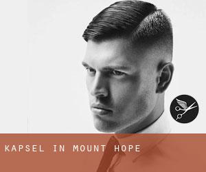Kapsel in Mount Hope
