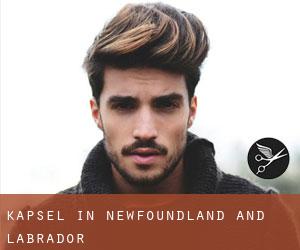 Kapsel in Newfoundland and Labrador Kapsel in Newfoundland and Labrador