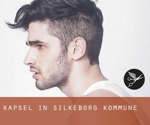 Kapsel in Silkeborg Kommune Kapsel in Silkeborg Kommune