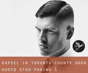 Kapsel in Toronto county door hoofd stad - pagina 1
