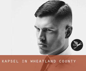Kapsel in Wheatland County