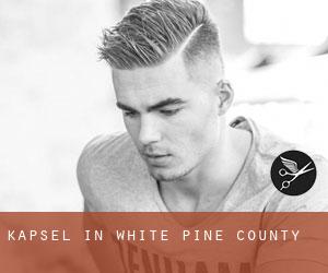 Kapsel in White Pine County