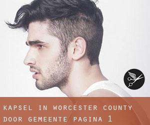 Kapsel in Worcester County door gemeente - pagina 1