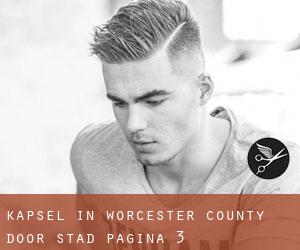 Kapsel in Worcester County door stad - pagina 3