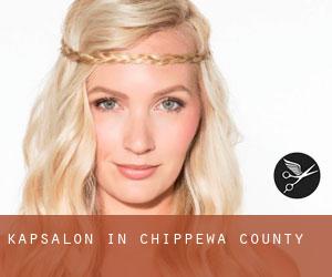 Kapsalon in Chippewa County