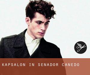 Kapsalon in Senador Canedo
