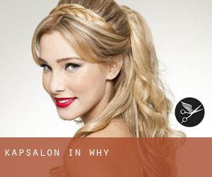 Kapsalon in Why Kapsalon in Why