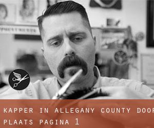 Kapper in Allegany County door plaats - pagina 1