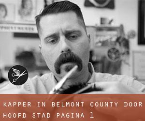 Kapper in Belmont County door hoofd stad - pagina 1