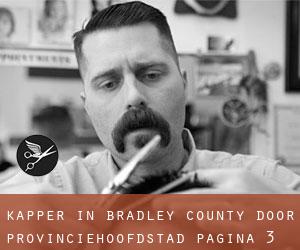 Kapper in Bradley County door provinciehoofdstad - pagina 3