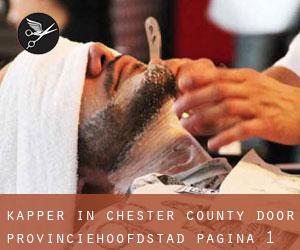 Kapper in Chester County door provinciehoofdstad - pagina 1