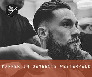 Kapper in Gemeente Westerveld Kapper in Gemeente Westerveld