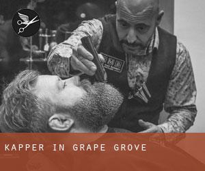 Kapper in Grape Grove
