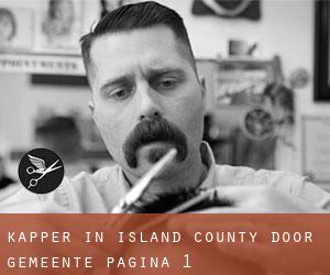 Kapper in Island County door gemeente - pagina 1