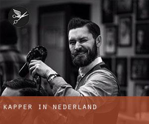Kapper in Nederland
