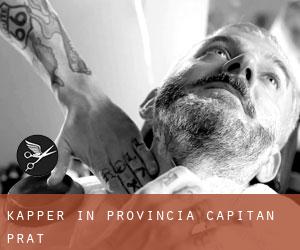 Kapper in Provincia Capitán Prat