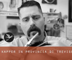 Kapper in Provincia di Treviso