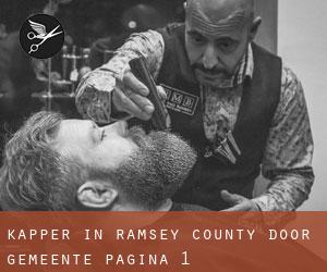 Kapper in Ramsey County door gemeente - pagina 1
