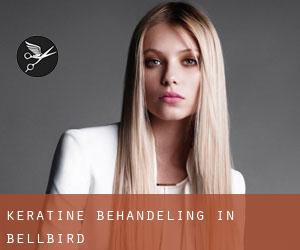 Keratine behandeling in Bellbird