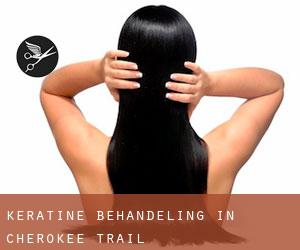 Keratine behandeling in Cherokee Trail