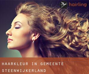 Haarkleur in Gemeente Steenwijkerland Haarkleur in Gemeente Steenwijkerland