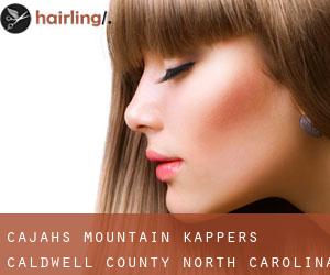 Cajahs Mountain kappers (Caldwell County, North Carolina)